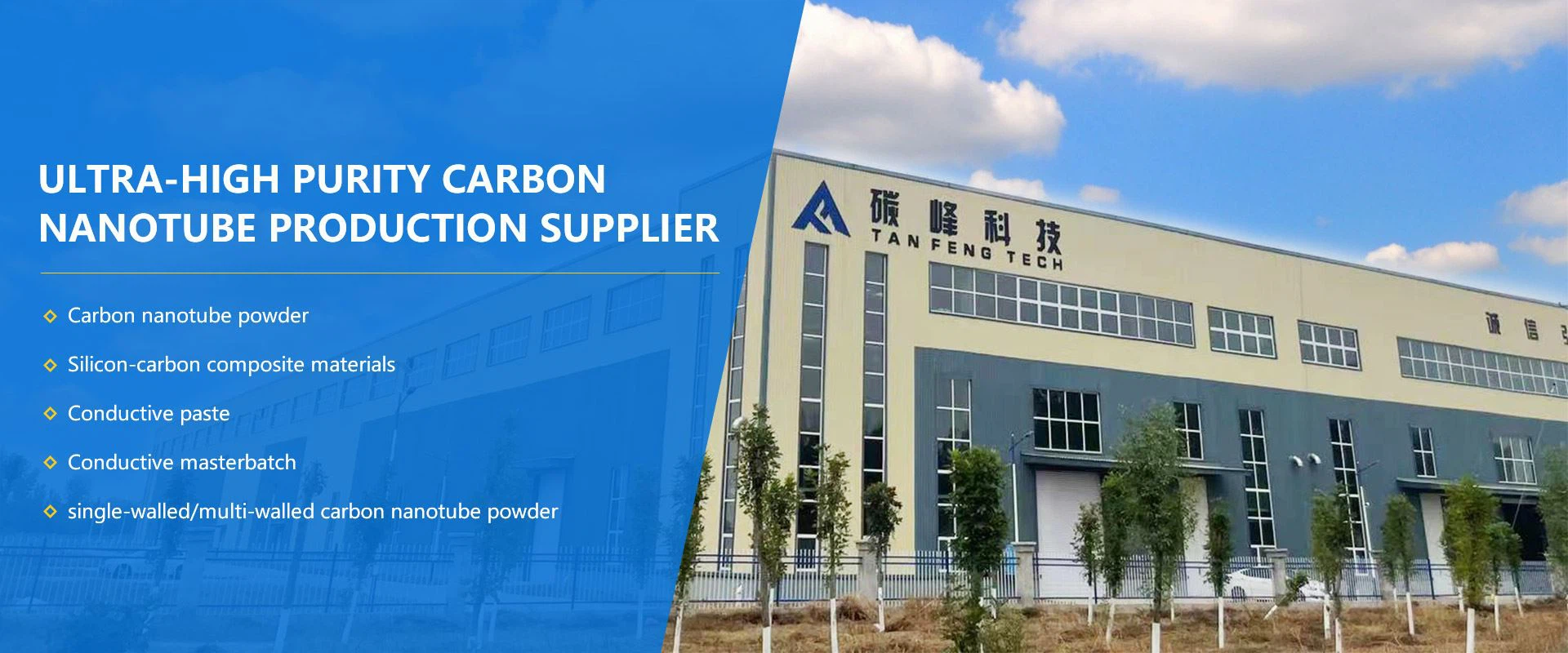 Carbon Nanotubes Conductive Paste Supplier